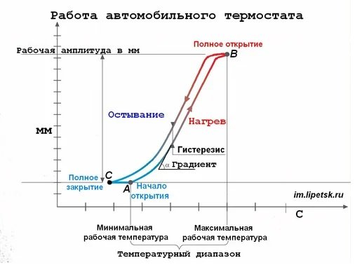 термостат.jpg