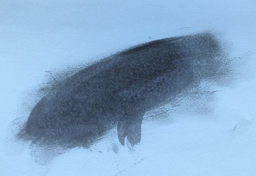 Верхняя сторона листа