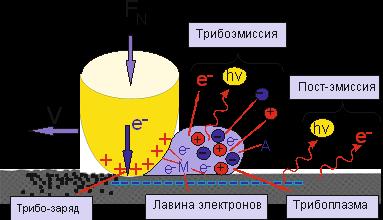 Трибоплазма по Nakayama 2002г.jpg