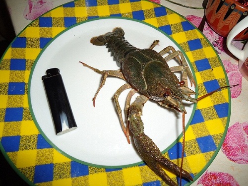 26.08 - 27.08 2011 г. (7).jpg