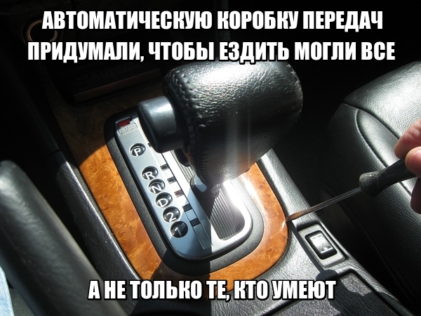 10673110.jpg